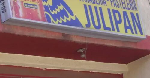 PANADERIA  PASTELERIA  JULIPAN